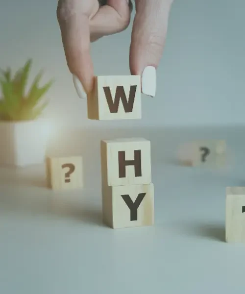 Why